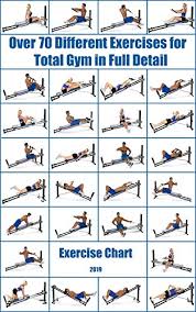 Over 70 Different Exercises For Total Gym In Full Detail