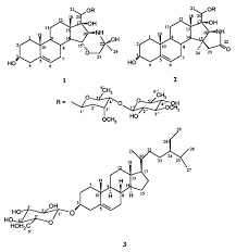 Image result for Cryptolepis obtusa