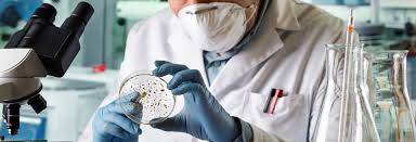 Accedere all'area sportelli polifunzionali arcispedale s. Laboratoarele Sfantamaria