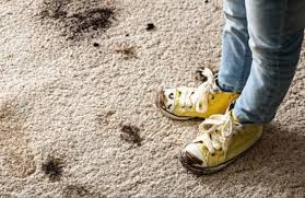 Alors, voici pour vous, quelques astuces pour nettoyer vos moquettes sans. Comment Nettoyer La Moquette Tout Pratique