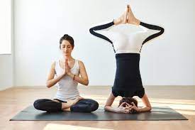 Erleben sie besondere momente in unseren häusern. 5 196 Partner Yoga Stock Photos Free Royalty Free Partner Yoga Images Depositphotos