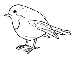 Disegni a matita dei personaggi disney facili da realizzare. Ebn Italia Birdwatching Per Bambini Iniziare A Fare Birdwatching Siamo Numeri 1