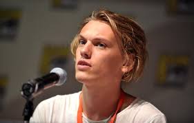 Video: Jamie Campbell Bower talks getting Grindelwald role in Deathly  Hallows