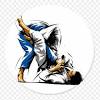 This brazilian martial art exploded in popularity when royce gracie used this fighting style. 1
