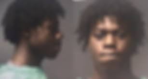 Two teens from Michiana killed in Knoxville, Tennessee double homicide