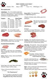 Everything You Need To Know About Starting Your Dog On A Prey Model Raw Diet Including A Transition Guide A Dog Raw Diet Raw Dog Food Diet Raw Dog Food Recipes