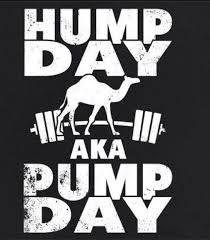 Whats you favorite day of the week? Hump Day Aka Pump Day Wednesday Quotes Happy Quotes Wednesday Hump Day