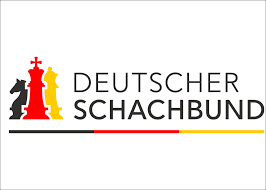 Dengan panduan ini, anda akan mempelajari cara membuat artikel instan dan menggunakan. Neues Logo Neue Website Deutscher Schachbund Schach In Deutschland