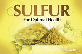 The 12 Best Food Sources Of Sulfur Drjockers Com