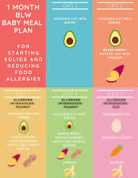 1 Month Blw Baby Meal Plan For Starting Solids And Reducing