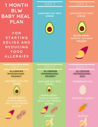 1 month blw baby meal plan for starting solids and reducing