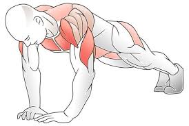 Pin En Fitness