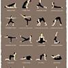 Learn proper headstand form with step by step headstand instructions, headstand tips, and the headstand the only headstand equipment that you really need is the following: Https Encrypted Tbn0 Gstatic Com Images Q Tbn And9gcsiow Uoeit7blclhha3cwl G2gm6v6avmte7qgfmmct7sgmjfk Usqp Cau
