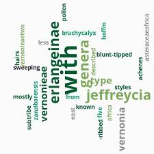 Image result for Vernonia zanzibarensis