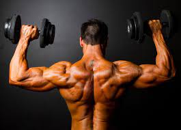See more of la musculation, c'est pas qu'une seule passion. Pourquoi La Musculation Est Essentielle Pour L Homme Moderne Guerrier Pacifique
