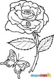 Maybe you would like to learn more about one of these? Trandafir Desprecopii Com