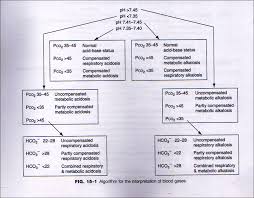 Image result for ABG Interpretation