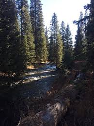 Union Falls Picture Of Union Falls Yellowstone National Park Tripadvisor