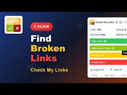 Check My Links SEO Extension