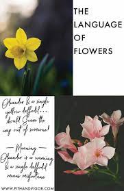The Language Of Flowers Combinations To Say What You Really Mean Pith Vigor By Rochelle Greayer Language Of Flowers Flowers Flower Farmer