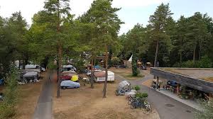 In der nähe des campingplatzes gibt es schöne möglichkeiten zum wandern und radfahren. Tcs Camping Flaach On The Rhine Bewertungen Fotos Schweiz Tripadvisor