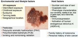Hearing the doctor tell you that you've got cancer is undoubtedly one of the worst things you may experience. Sunlight Vitamin D And Skin Cancer 2nd Edition Aug 2013 Vitamindwiki