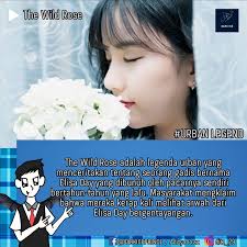 The Wild Rose Beberapa tahun yang lalu di Irlandia, ada seorang wanita muda  bernama Elisa Day. Orang-orang memanggilnya dengan julukan The Wild Rose  (Bunga Mawar Liar), karena mereka mengatakan bahwa dia seindah