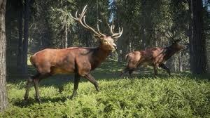 Download hunting simulator game the hunter simulator 4.4 mod (unlimited money + high level starting) free for android mobiles, smart phones. Psxboxindies Hunting Simulator Vs Thehunter Call Of The Wild Which Game Should You Buy