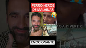 PERRO HÉROE DE MALVINAS: EMOCIONANTE HISTORIA