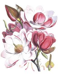 Check spelling or type a new query. Yes You Can Learn To Speak The Language Of Plants The New York Times