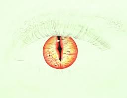 Nur viral'le hayatta her şey var 100.772 views1 year ago. Ruyada Mor Badanali Ev Gormek Sahihruyalar Com