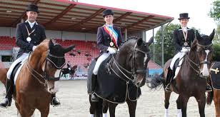 Alle turnierergebnisse von libuse mencke. Hippothek De