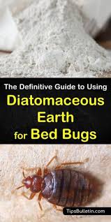 Has Your Home Been Invaded By Bed Bugs Learn How To Stop Them In Their Tracks And Eradicate Them For Good Using Bed Bugs Diatomaceous Earth Deep Cleaning Tips