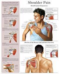 Shoulder bursitis and tendinitis are common causes of shoulder pain and stiffness. Shoulder Pain E Chart Quick Reference Guide Kindle Edition By Hc Healthcomm Health Fitness Dieting Kindle Ebooks Amazon Com