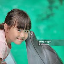 149 Dolphin Kiss Stock Photos, High-Res Pictures, and Images