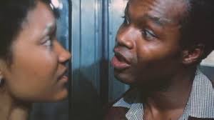 The Education of Sonny Carson (1974)