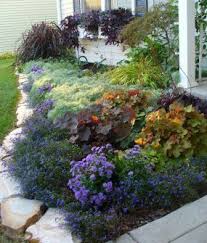 Shade Garden Midnight Lobelia Silver Mound Artemesia Heuchera Trailing Purple Sweet Potato Vine Mo Shade Garden Front Yard Garden Front Yard Flowers