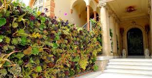 Protéger l'extérieur par un mur végétal, c'est mieux isoler votre intérieur. Construire Mur Vegetal Exterieur Conseils Sur Les Types Et Leur Entretien