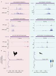 Incearca din nou sau extinde la o localitate mai mare din zona. Ribosomes Guide Pachytene Pirna Formation On Long Intergenic Pirna Precursors Nature Cell Biology