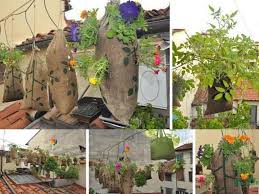 Desain rumah type 60 model minimalis, sederhana, modern terbaru 34 Ide Kreatif Berkebun Vertikal Sederhana Dan Murah Di Botol Bekas Berita Pertanian Mitalom