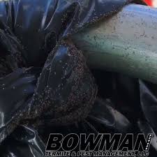 Loved dealing with action termite and pest control. Bowman Termite Pest Management Llc 469 Kalanikoa St Hilo Hi 2021