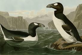 These incredible animals will never roam earth again. 10 Tragic Stories Of Extinct Animals Mental Floss