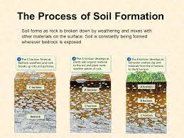 Ø iron and manganese are important for imparting red colour to soils and for oxidation and reduction. How Soil Forms 6 E 2 3 Explain How The Formation Of Soil Is Related To The Parent Rock Type And The Environment In Which It Ppt Video Online Download