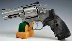 Image result for Magnum DeltaForce