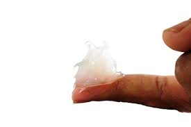 Is Neosporin Safe For My Dog And Cat Pro Pet Hero
