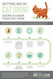 Check for urine and pet odors on the carpet and hardwood floors. Remove Cat Pee Smell From Mattress Online