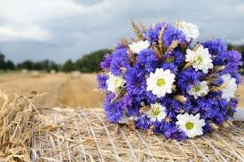 Blue Wedding Flowers For Your Perfect Something Blue Yep We Love That Idea Too Topweddingsites Com Cornflower Wedding Bouquet Flower Centerpieces Wedding Cheap Wedding Flowers