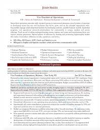 That leaves you with no clear answers as to where to start. Executive Resume Samples Director Vp C Level