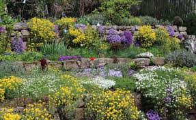 Natursteinmauern Farbenfroh Bepflanzen Natursteinmauer Pflanzen Und Garten Bepflanzen