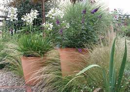Ne mettez pas une plante qui préfère l'ombre en plein soleil. Une Terrasse Comme Au Jardin Avec La Culture En Pots C Est Possible